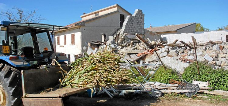 ”Bara stalldörren står kvar”