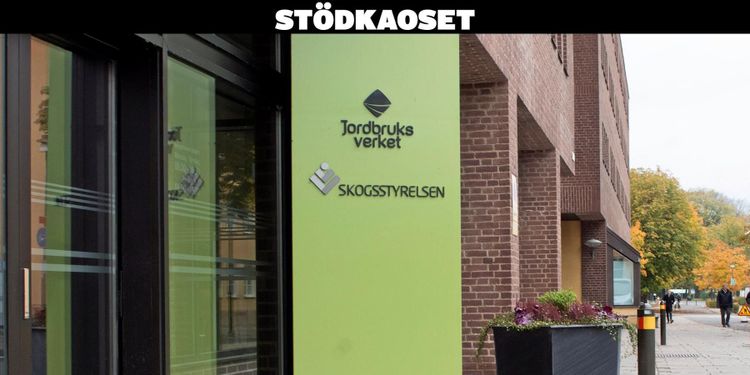 Jordbruksverkets brister kostar en kvarts miljard