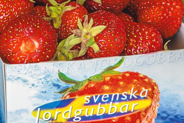 Brist på gubbar leder till höga priser