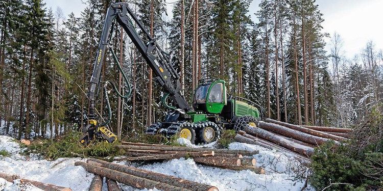 Skogsstyrelsen får bakläxa om avverkning