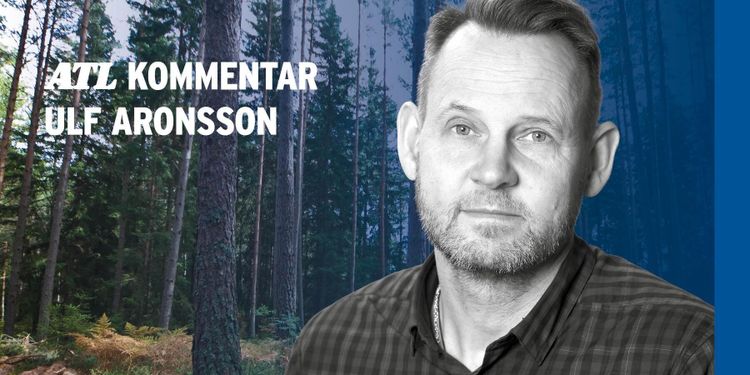 Svårbedömt framåt i skogen