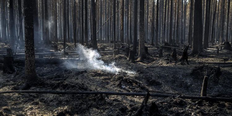 Debatt: Utbilda frivilliga och stoppa bränder