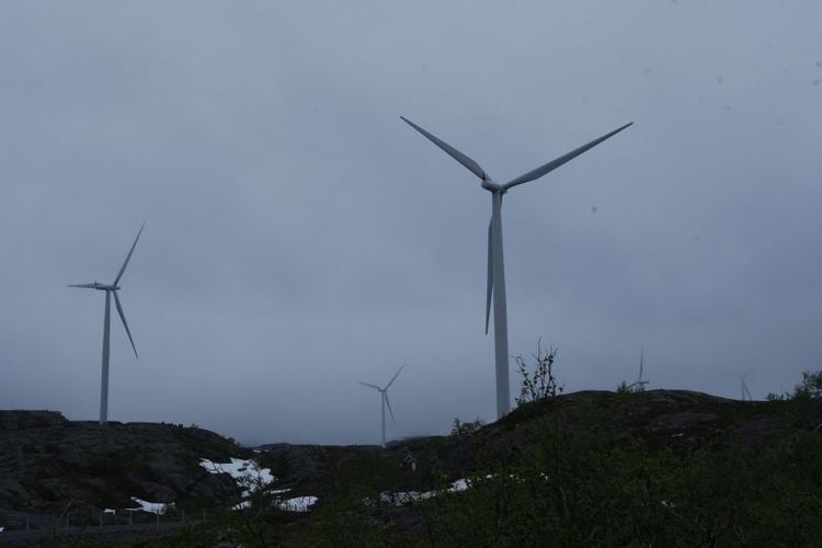 Det ser mörkt ut för svensk vindkraft när priserna för elcertifikaten når bottennivåer.