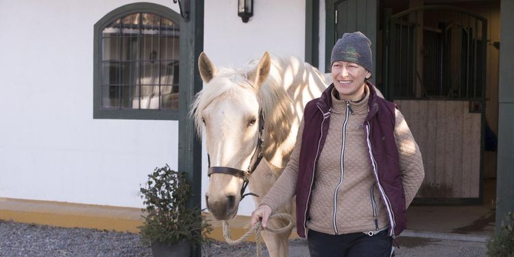 Lusitanohästar ger mervärde på Rotbrunna