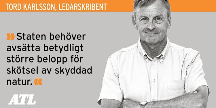 Natur ska inte bara bevaras – den ska skötas