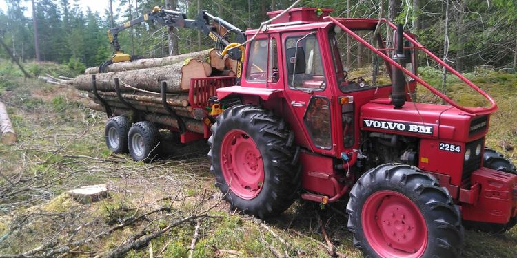 Budgetbygge när trotjänaren anpassades för skogen