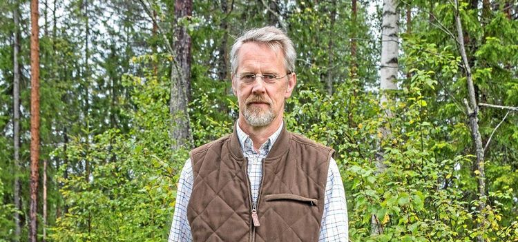 Contortans spridning oroar skogsbolag