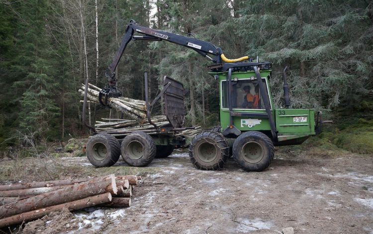 Oxen fanns redan på gården när Per-Oskar kollade på YouTube och såg minilunnaren tillsammans med en vagn med hydraulkran. Då började han leta efter en likadan lösning och hittade snart en vagn.
