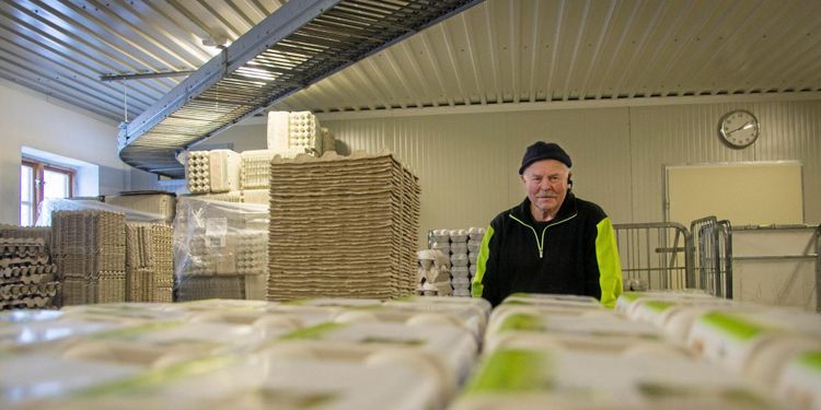 ATL TV: Äggproducent kläckte ny affärsidé