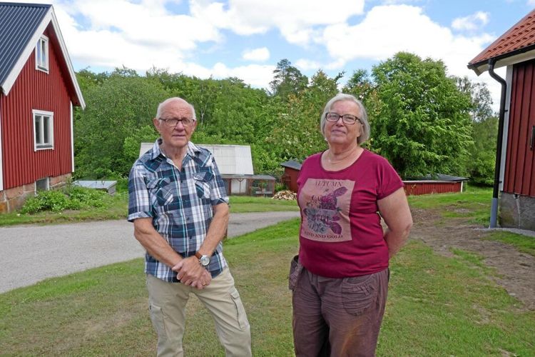 De vågar satsa på blandskog