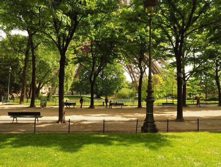 Från årsskiftet får inte längre bekämpningsmedel användas i franska parker som här i Cham-de-Mars i Paris.