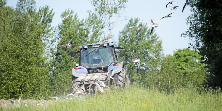 ”Pandemin tar fram landsbygdens styrkor”