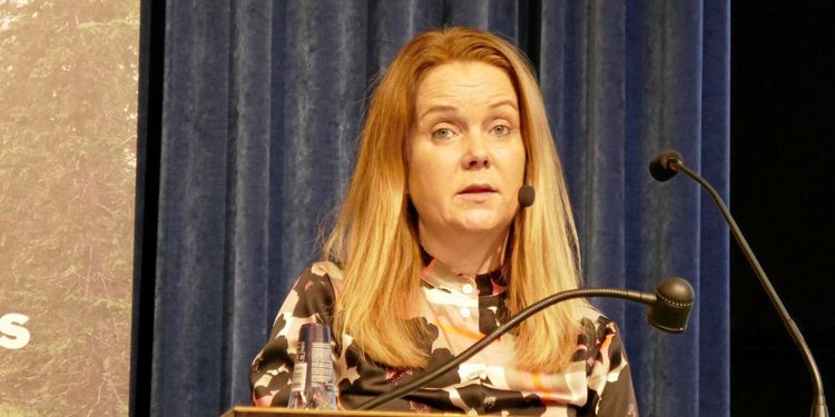 Ett halvår med skogshatt för ministern