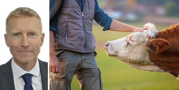 SD föreslår: ”Utred statlig avbytartjänst”