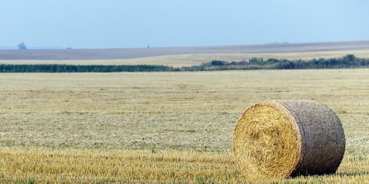 Allt fler nödrop i torkans spår