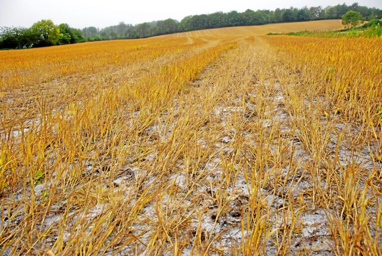 EU-länder protesterar mot ändringar i stöden