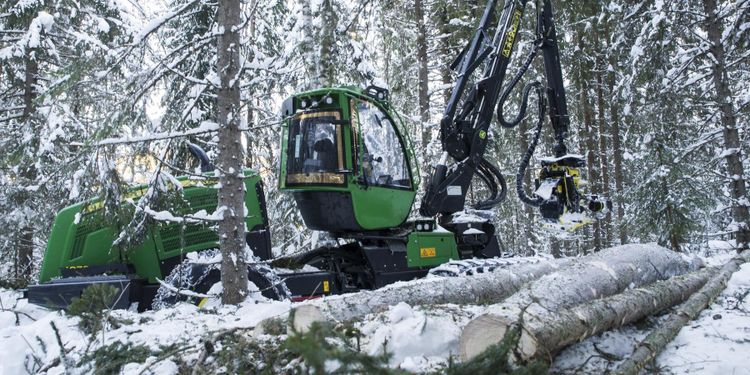 EU-förslaget en attack på svenska skogsägare