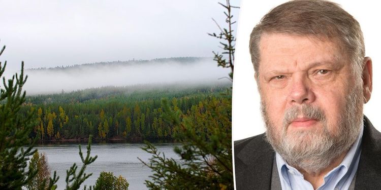 ”Skogsindustrin borde satsa mer på kvalitet”