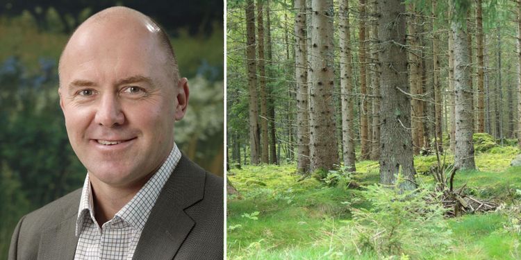 Sven-Erik Hammar lämnar LRF Skogsägarna