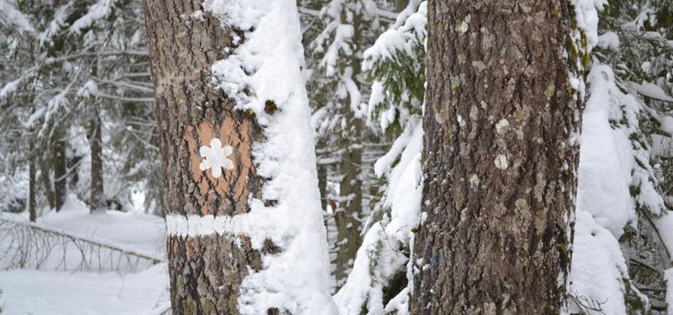 Nyckelbiotoper: Pengarna räcker inte