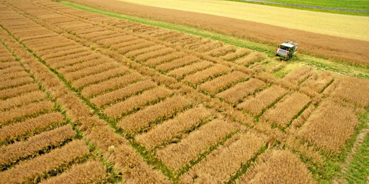 Ny rapport: Nationellt stöd viktigt i norr