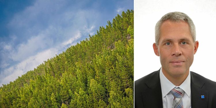 KD: Staten struntar i äganderätten