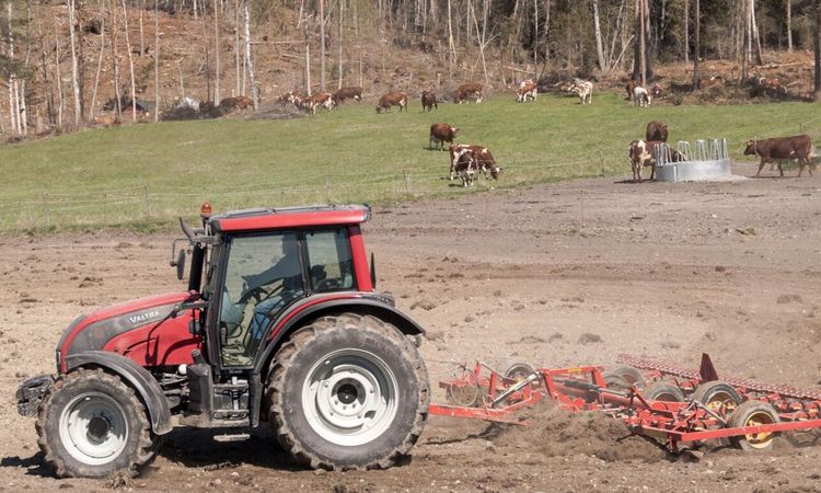 Håll koll på gräsogräsen