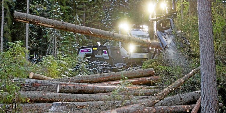 Här är metoden som hjälper dig vid avverkning