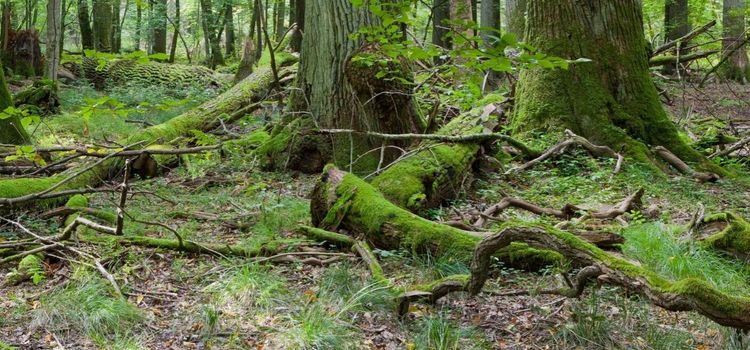 "Avtalen är inte tänkta att ge full ersättning"