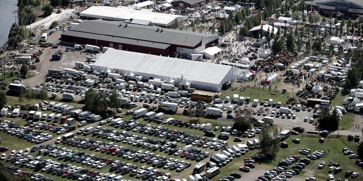 Högt tryck – Skogsnolia redan fullbokat