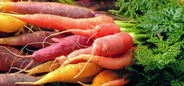 Offentlig upphandling – inte så krångligt som det låter