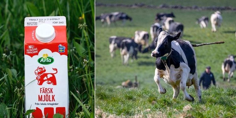 Tveksamt om nya regler ger mer betalt