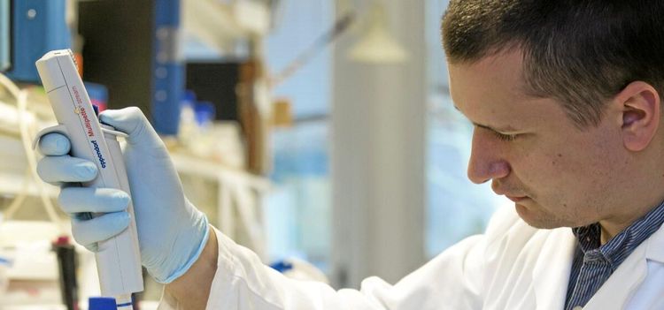 Genändrat vete kan bli framtidens olja