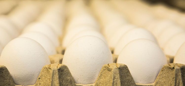 Fler drabbade av giftskandalen