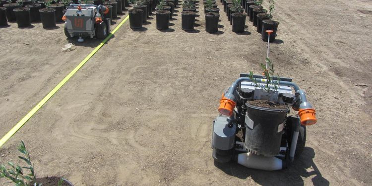 Ny skörderobot utvecklas i Örebro