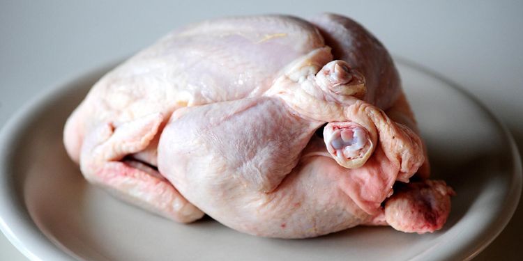 Vanligt med tarmbakterier i färsk kyckling