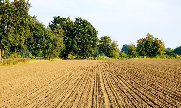 Lantmännen framtidsspanar