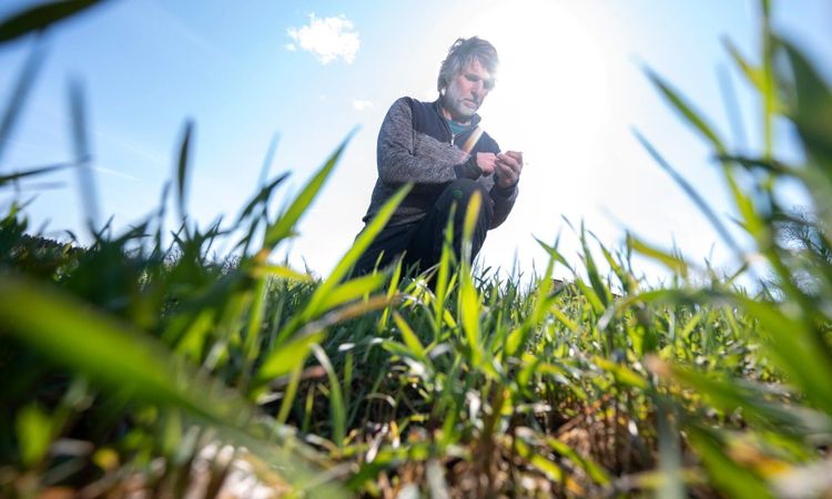 ”Alla vill äta ekologiskt – men alla vill inte betala”