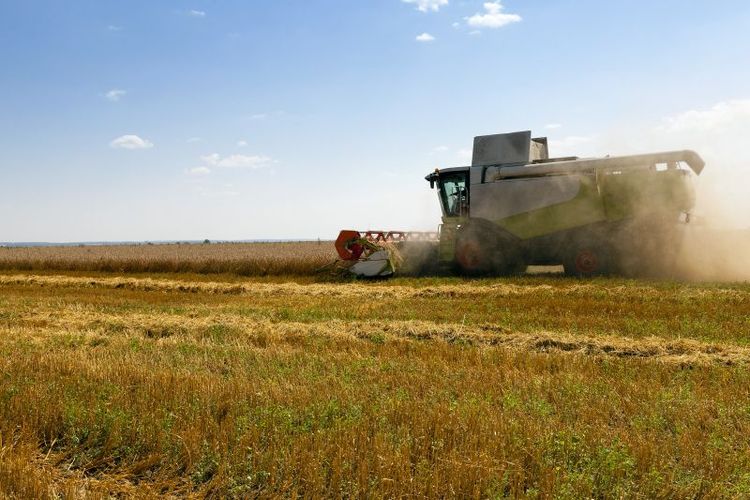 Sämre spannmålsskörd på grund av torkan och ett lägre etanolpris var negativt för resultatet.