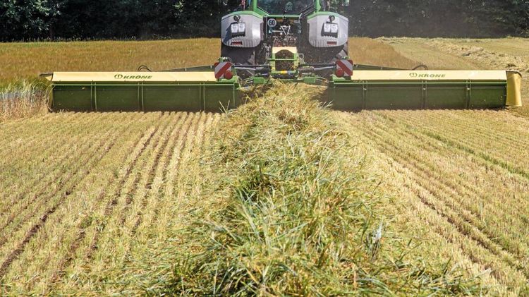 Strängläggning utan slåtterkross