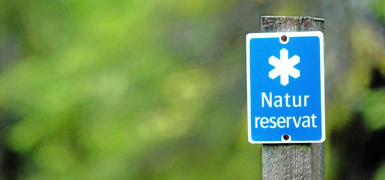 Finsk frivillighet gav skogsskydd