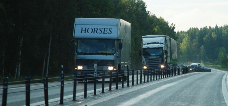 Hästlastbil krockade med älg