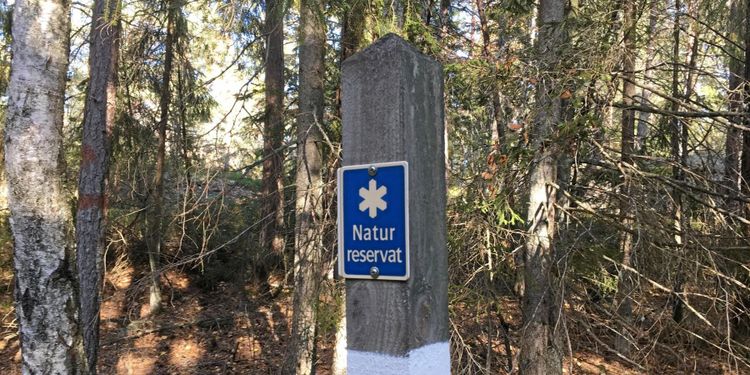 Ja till avverkning i 168 naturreservat