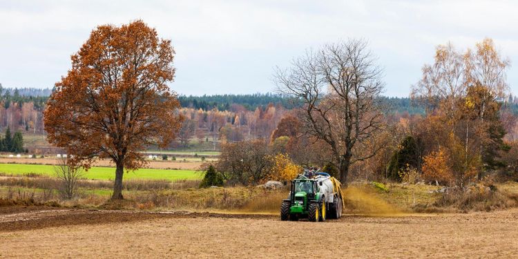 Höj skörden med delade gödselgivor