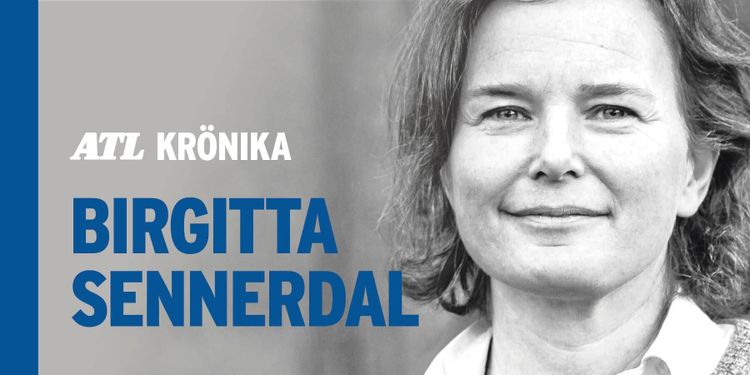 Vårda minnena som finns i din skog för framtiden