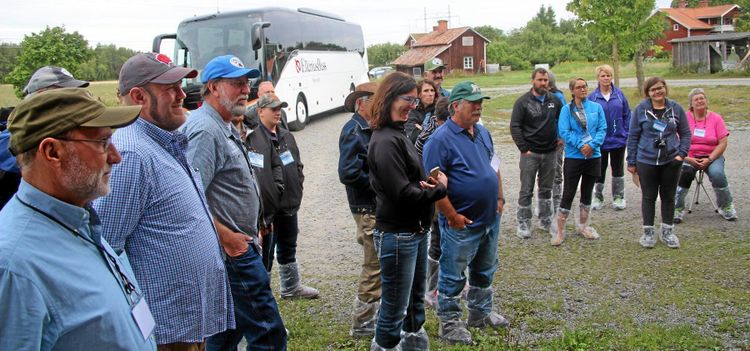 Amerikaner gästade svensk ekogård