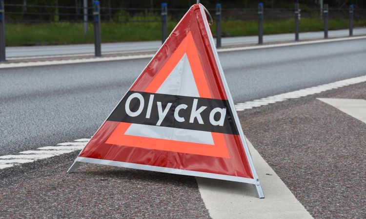 Hästar dog efter svår trafikolycka