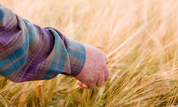 LRF tappar personmedlemmar