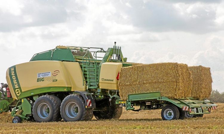 Automatisk debut av Krone