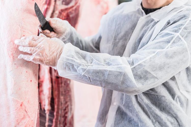 Rekordlåg utbetalning till grisleverantörer